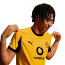 Camisa Borussia Dortmund 25/26 - Edição de copas - Torcedor Masculino - Amarelo