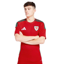 Camisa País de Gales I 24/25 - Torcedor Masculina - Vermelha