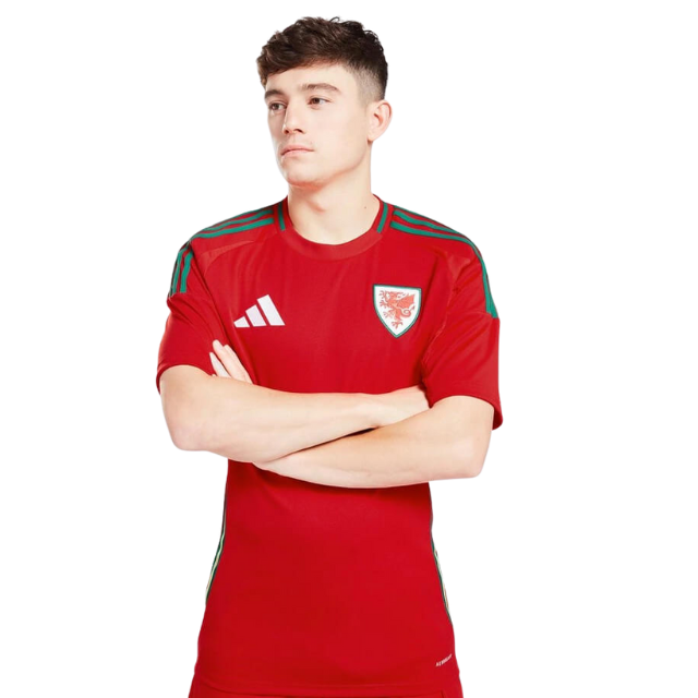 Camisa País de Gales I 24/25 - Torcedor Masculina - Vermelha