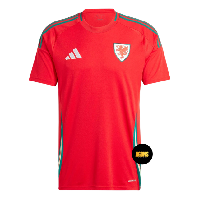 Camisa País de Gales I 24/25 - Torcedor Masculina - Vermelha