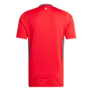 Camisa País de Gales I 24/25 - Torcedor Masculina - Vermelha
