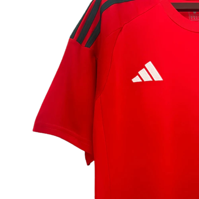 Camisa País de Gales I 24/25 - Torcedor Masculina - Vermelha