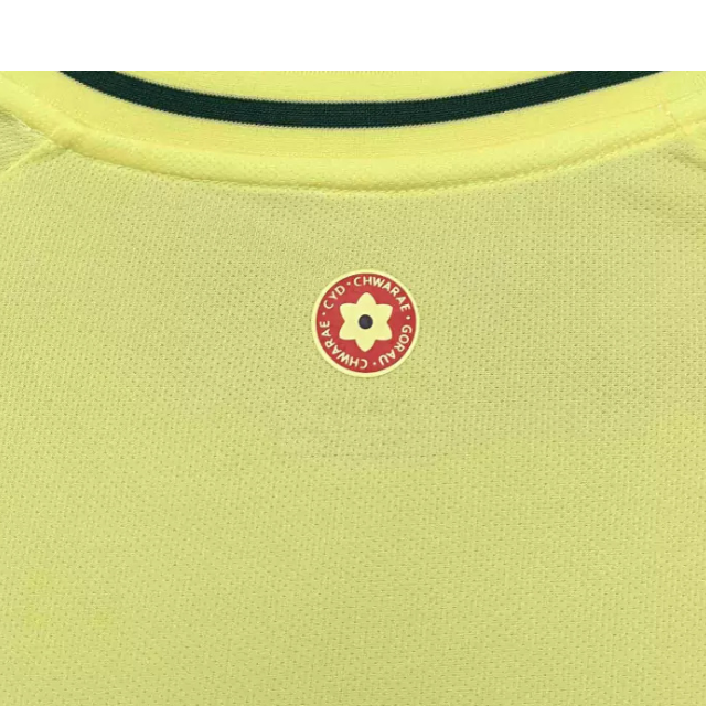 Camisa País de Gales II 24/25 - Torcedor Masculina - Amarela