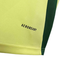 Camisa País de Gales II 24/25 - Torcedor Masculina - Amarela