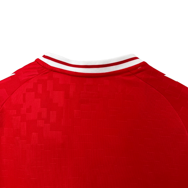 Camisa Seleção Dinamarca I 24/25 Vermelho - Hummel - Masculina Torcedor