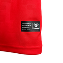 Camisa Seleção Dinamarca I 24/25 Vermelho - Hummel - Masculina Torcedor