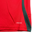 Camisa Seleção Hungria I 24/25 - Torcedor Masculina - Vermelha com detalhes em branco