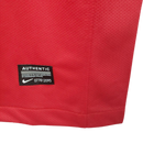 Camisa Retrô Seleção Portugal 2009/10 Home - Torcedor Masculina - Vermelha e verde