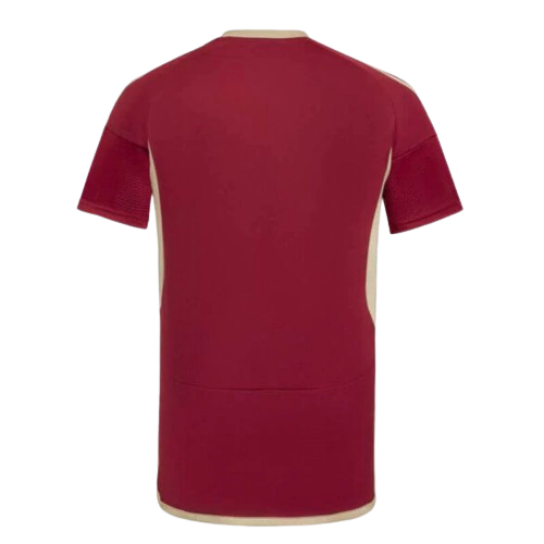 Camisa Seleção Venezuela I 24/25 - Torcedor Masculina - Vinho com detalhes em dourado
